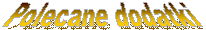 Polecane dodatki
